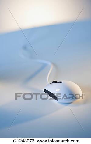 Computer mouse View Large Photo Image Stock Image - Computer mouse. Fotosearch