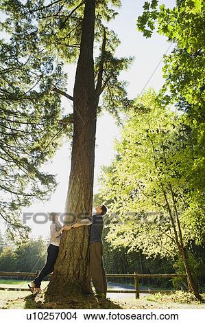Couple hugging tree View Large Photo Image Picture - Couple hugging tree. Fotosearch