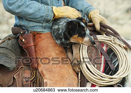 Stock Image - Cowboy and dog on horse. Fotosearch