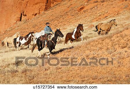 Cowboy herding horses View Large Photo Image Picture - Cowboy herding horses. Fotosearch