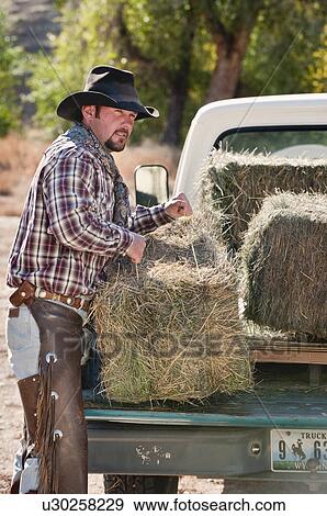 Stock Photo - Cowboy lifting bales of hay. Fotosearch