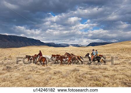 Cowboys herding horses View Large Photo Image Stock Image - Cowboys herding horses. Fotosearch
