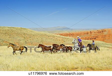 Cowboys herding horses View Large Photo Image Stock Photograph - Cowboys herding horses. Fotosearch