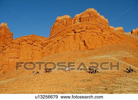 Stock Photo - Cowboys herding wild horses. Fotosearch