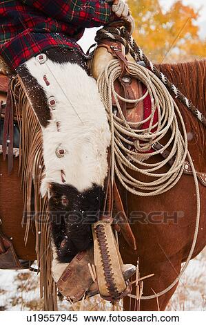 Cowgirl on horse View Large Photo Image Stock Photography - Cowgirl on horse. Fotosearch