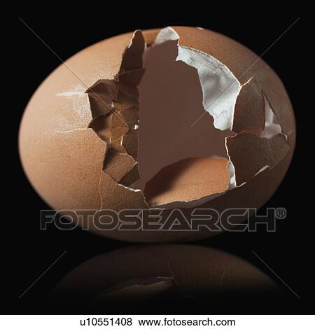 Stock Photo - Cracked brown egg shell. Fotosearch