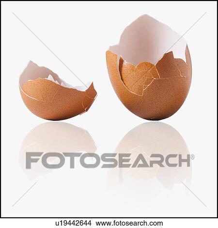 Cracked egg shell View Large Photo Image Picture - Cracked egg shell. Fotosearch