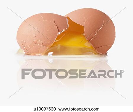 Cracked egg with a shattered yoke View Large Photo Image Stock Image - Cracked egg with a shattered yoke. Fotosearch