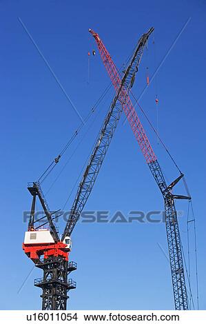 Picture - Cranes. Fotosearch