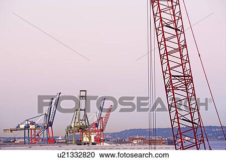 Cranes View Large Photo Image Stock Image - Cranes. Fotosearch