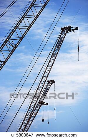 Stock Photo - Cranes. Fotosearch