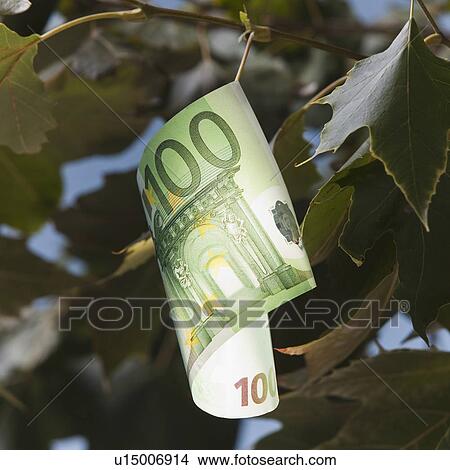 European currency growing on tree View Large Photo Image Picture - European currency growing on tree. Fotosearch
