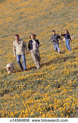 Family hiking in field of wildflowers View Large Photo Image Stock Photo - Family hiking in field of wildflowers. Fotosearch
