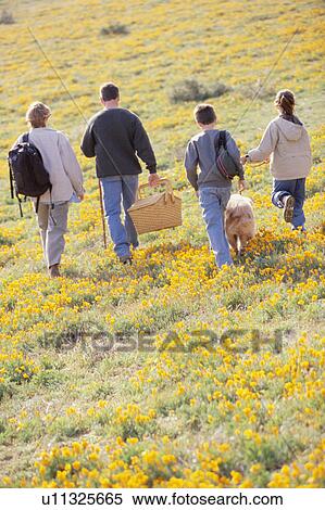 Stock Photography - Family hiking in field of wildflowers. Fotosearch