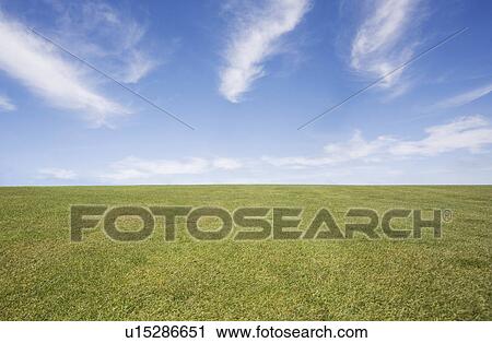 Field View Large Photo Image Stock Image - Field. Fotosearch