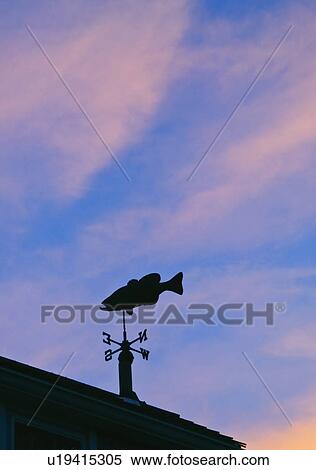 Stock Photography - Fish weathervane. Fotosearch