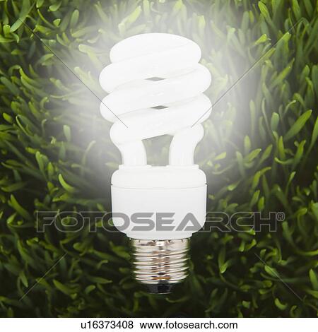 Stock Photo - Fluorescent light bulb in grass. Fotosearch