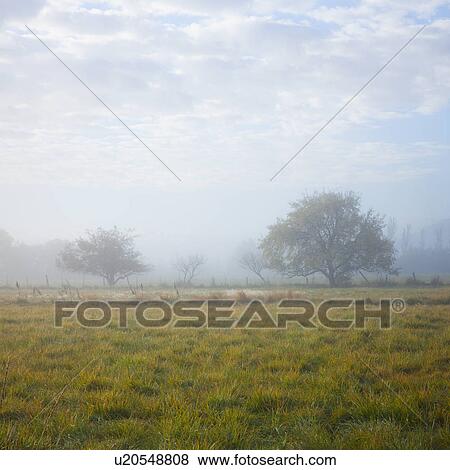 Stock Photo - Fog in field. Fotosearch