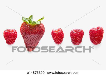 Four raspberries and one strawberry View Large Photo Image Stock Photo - Four raspberries and one strawberry. Fotosearch