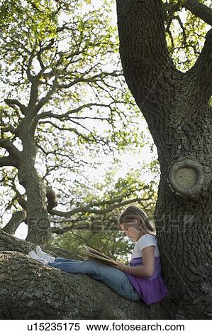 Girl reading book in tree View Large Photo Image Stock Photography - Girl reading book in tree. Fotosearch