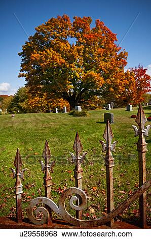 Stock Photo - Graveyard. Fotosearch