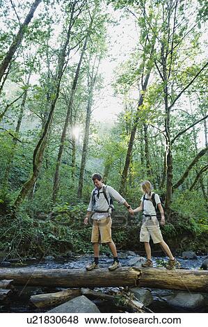 Hikers walking on log View Large Photo Image Stock Photo - Hikers walking on log. Fotosearch