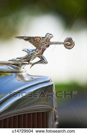 Hood ornament on classic car View Large Photo Image Picture - Hood ornament on classic car. Fotosearch