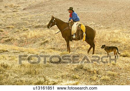 Horseback rider and dog View Large Photo Image Stock Image - Horseback rider and dog. Fotosearch
