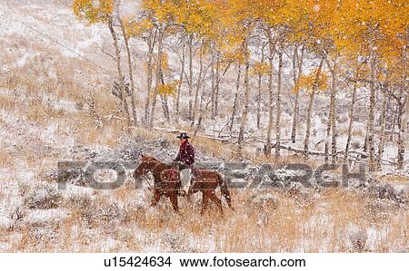 Picture - Horseback rider. Fotosearch