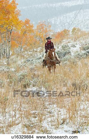 Horseback rider View Large Photo Image Picture - Horseback rider. Fotosearch