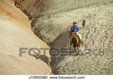 Horseback rider View Large Photo Image Stock Image - Horseback rider. Fotosearch
