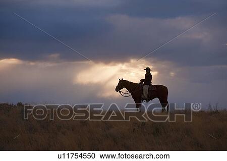 Stock Image - Horseback rider. Fotosearch