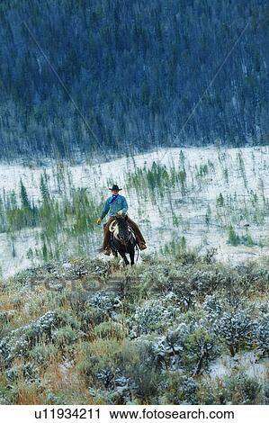 Horseback rider View Large Photo Image Stock Image - Horseback rider. Fotosearch