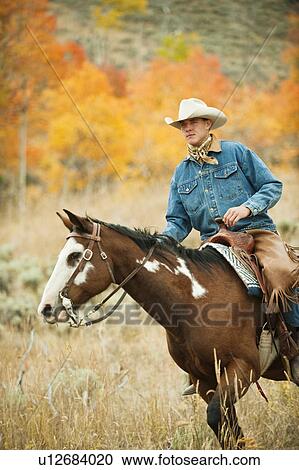 Horseback rider View Large Photo Image Stock Image - Horseback rider. Fotosearch