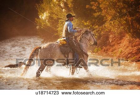 Horseback rider View Large Photo Image Stock Image - Horseback rider. Fotosearch