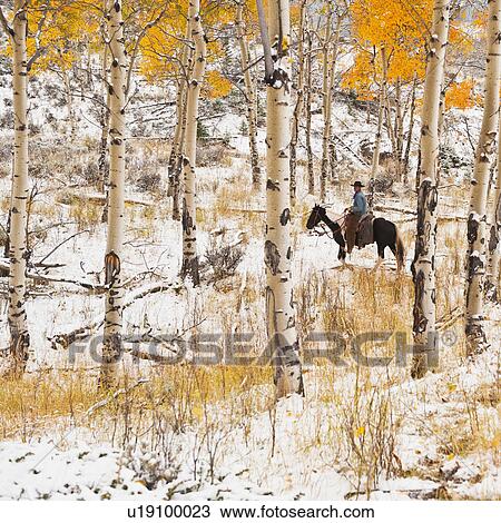 Stock Image - Horseback rider. Fotosearch