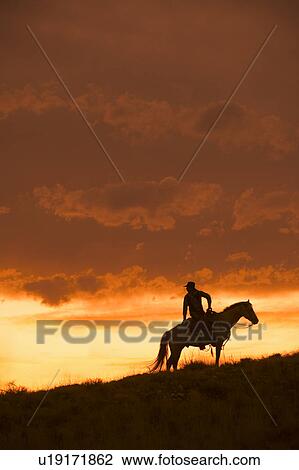 Stock Image - Horseback rider. Fotosearch