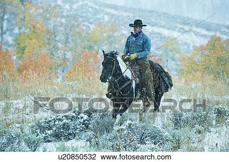 Horseback rider View Large Photo Image Stock Image - Horseback rider. Fotosearch