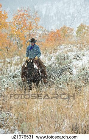 Horseback rider View Large Photo Image Stock Image - Horseback rider. Fotosearch