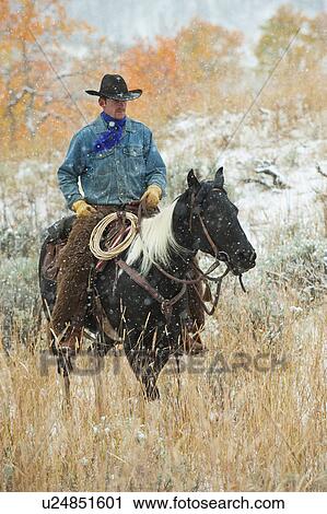 Horseback rider View Large Photo Image Stock Image - Horseback rider. Fotosearch