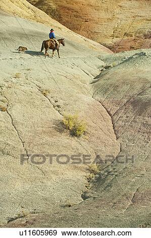 Stock Photo - Horseback rider. Fotosearch
