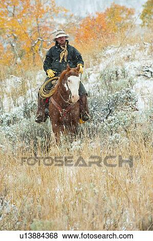 Stock Photo - Horseback rider. Fotosearch