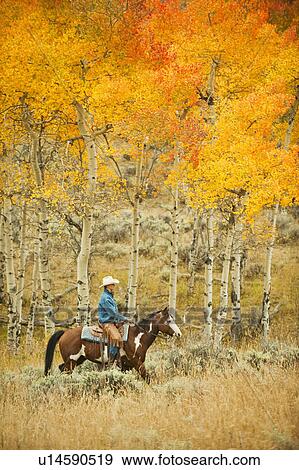 Horseback rider View Large Photo Image Stock Photo - Horseback rider. Fotosearch