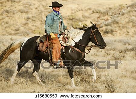 Horseback rider View Large Photo Image Stock Photo - Horseback rider. Fotosearch