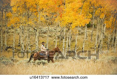 Stock Photo - Horseback rider. Fotosearch