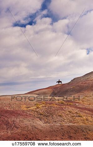 Horseback rider View Large Photo Image Stock Photo - Horseback rider. Fotosearch