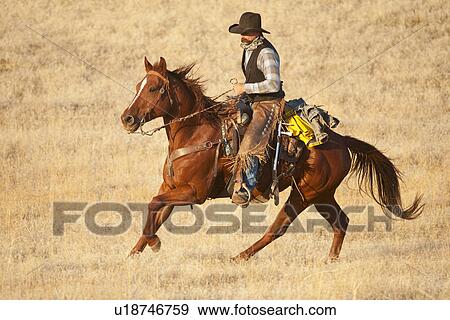 Horseback rider View Large Photo Image Stock Photo - Horseback rider. Fotosearch