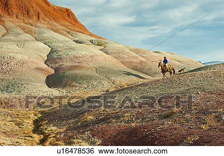 Horseback rider View Large Photo Image Stock Photograph - Horseback rider. Fotosearch