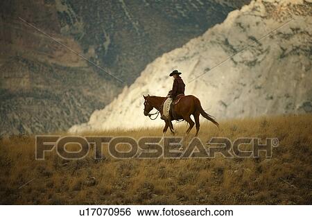 Horseback rider View Large Photo Image Stock Photograph - Horseback rider. Fotosearch
