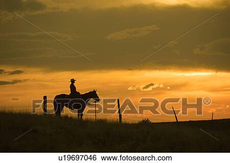Horseback rider View Large Photo Image Stock Photograph - Horseback rider. Fotosearch